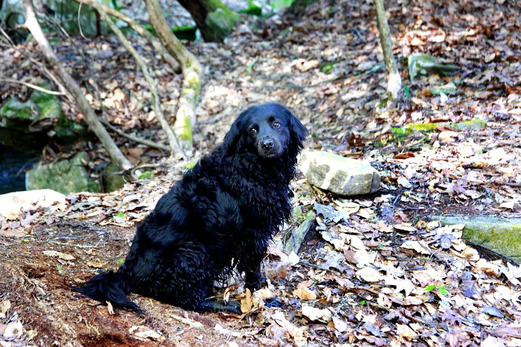 Earth Haven intentional community