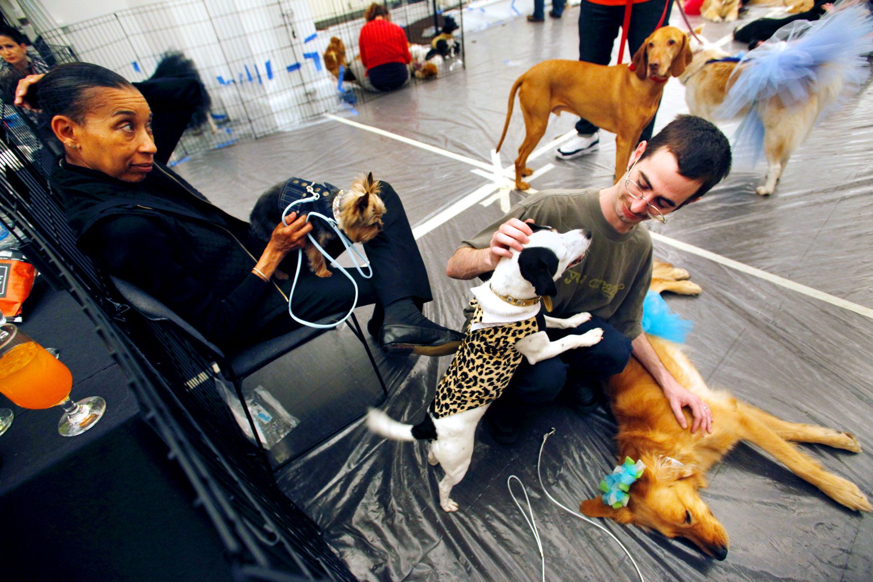 Fashion for Paws Humane Society Benefit, Washington DCfor The Washington Post