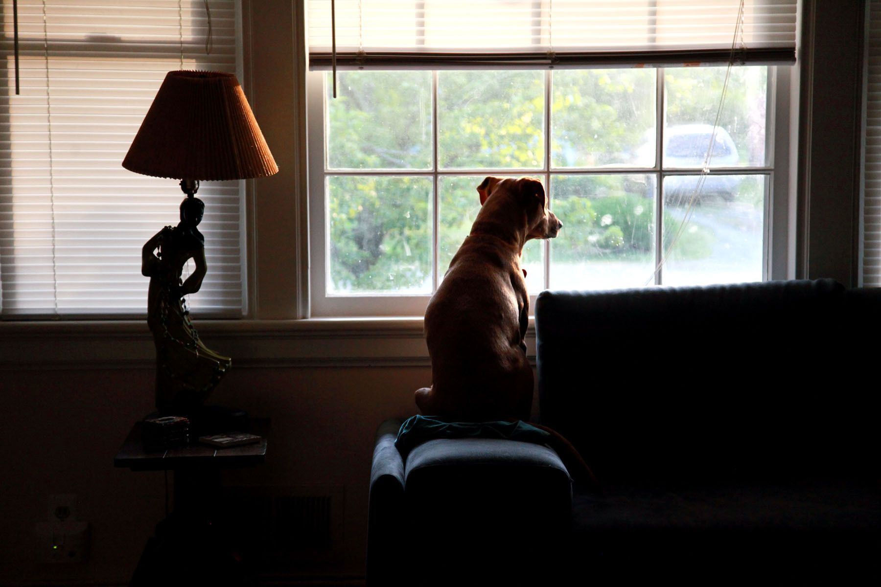 Khoe waits for the mail man