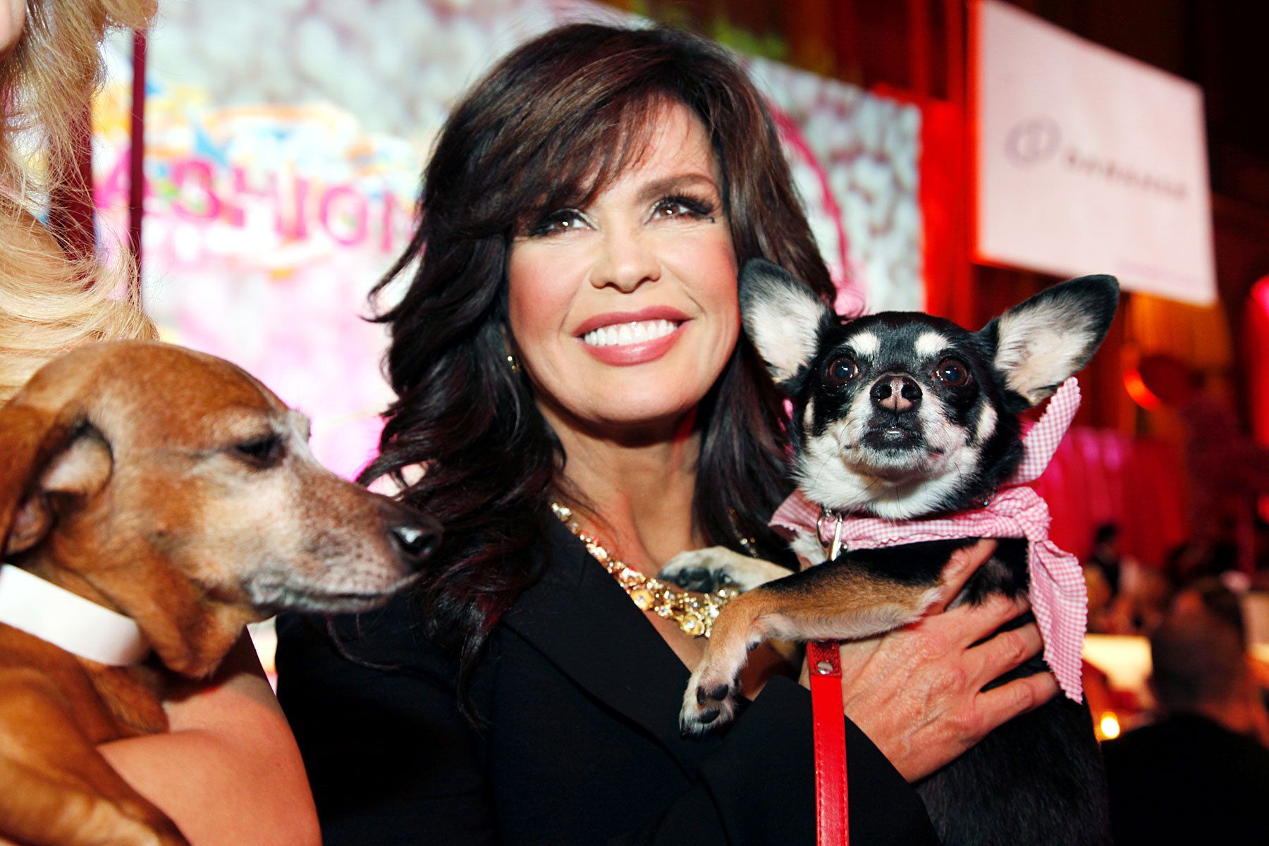 Marie Osmond at Fashion for Paws Benefit for The Washington Post