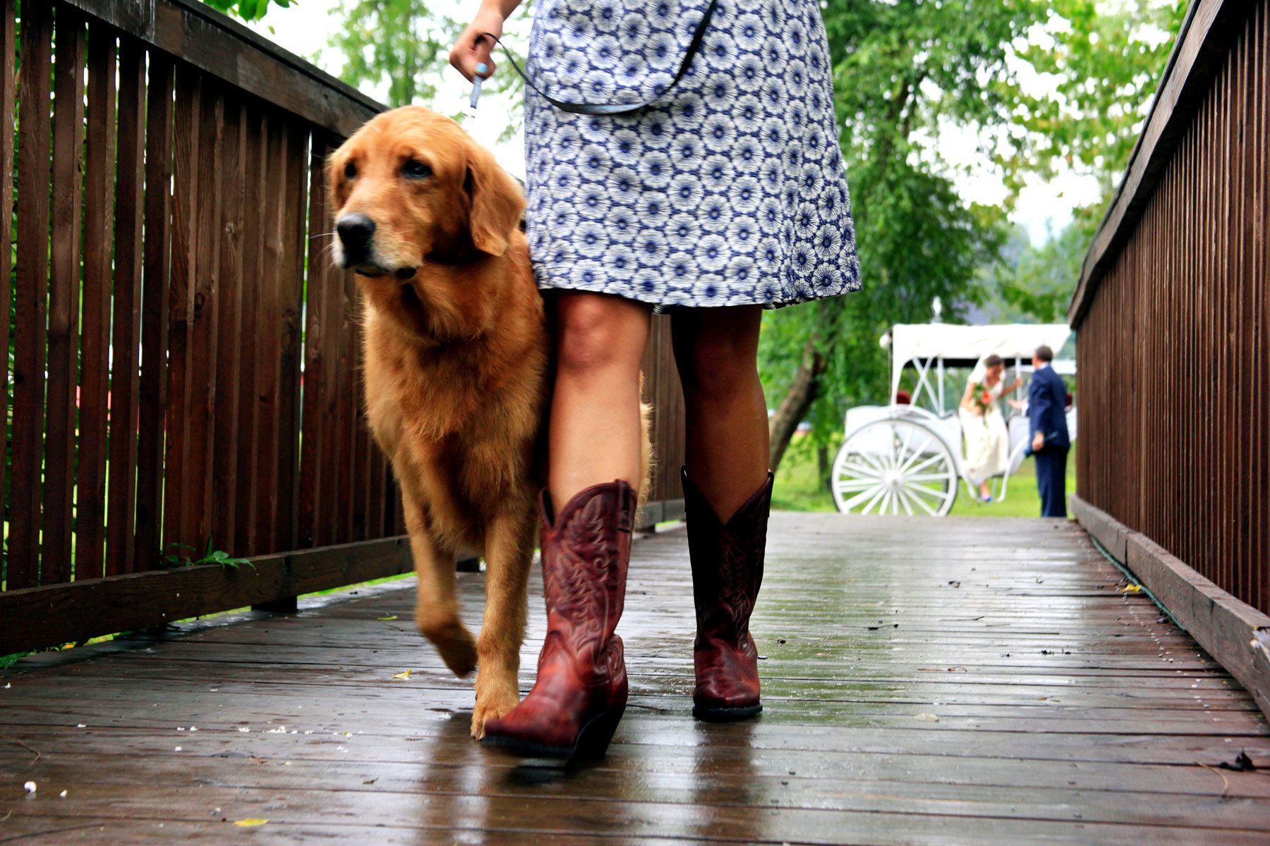 Wedding, Asheville NC