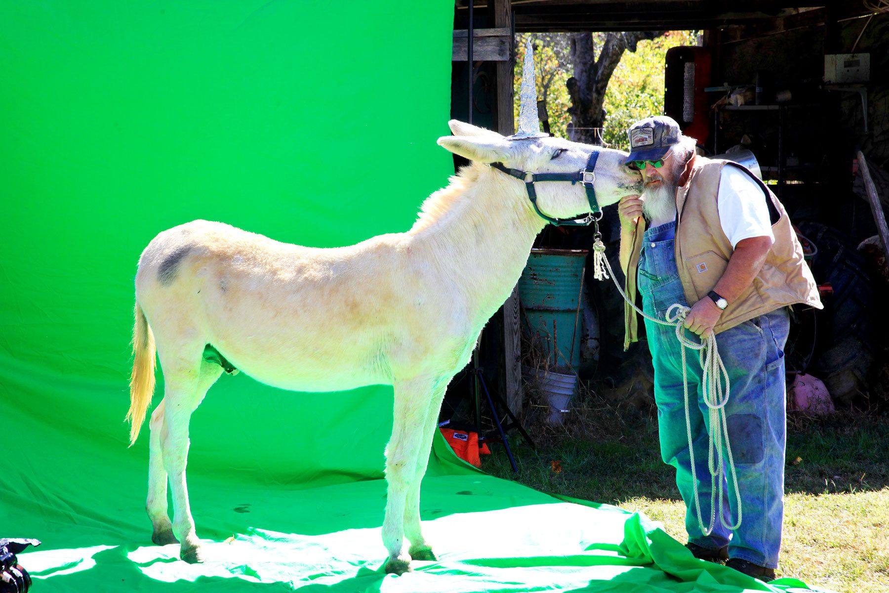 IFC "I Love Local Commercials" photo shoot