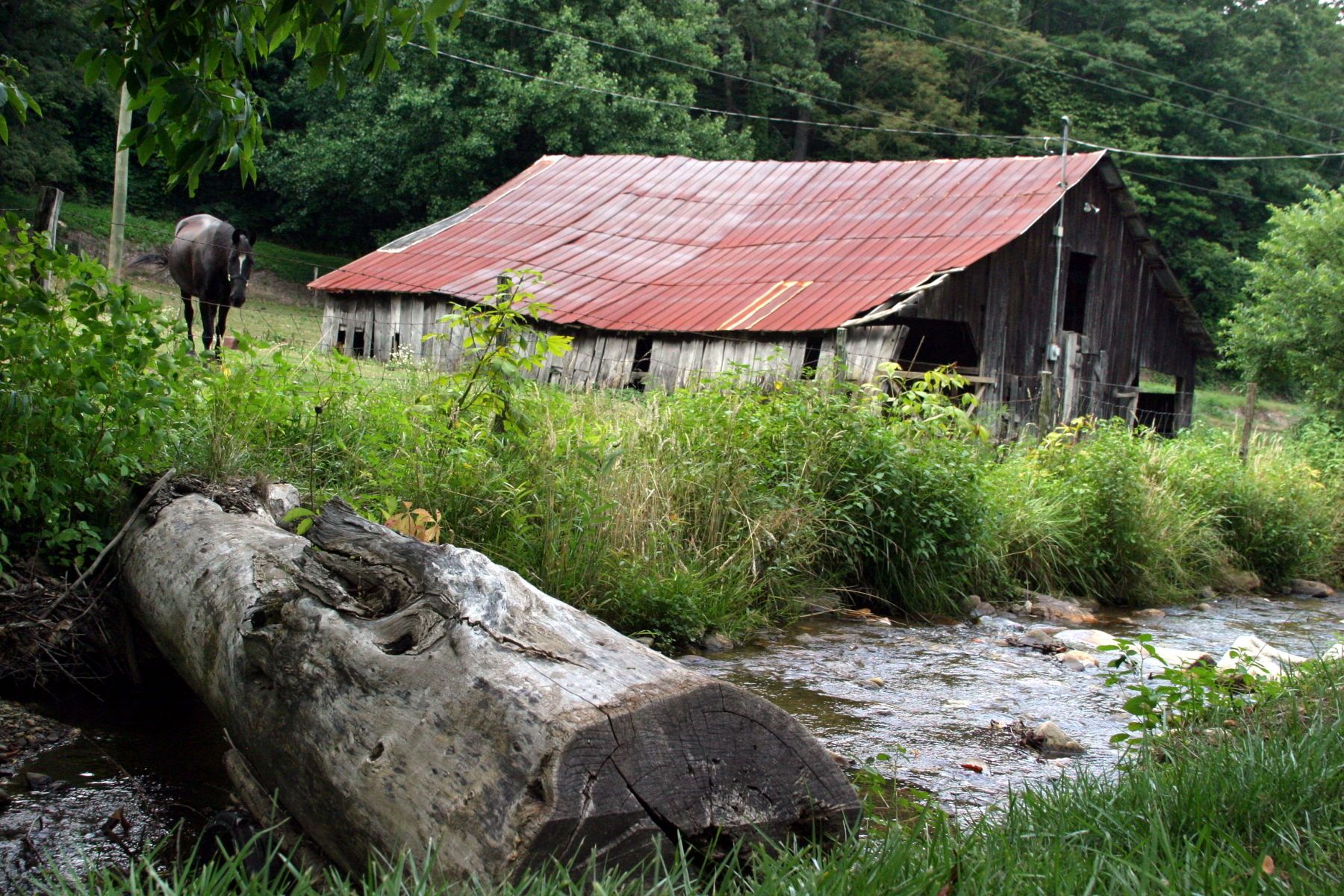 1wyg_waynesville_8675web