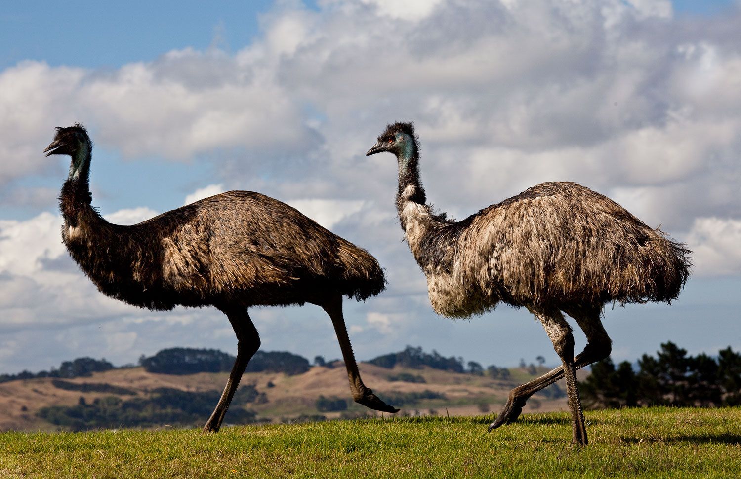 1r130221_gibbsfarm_0424__lb