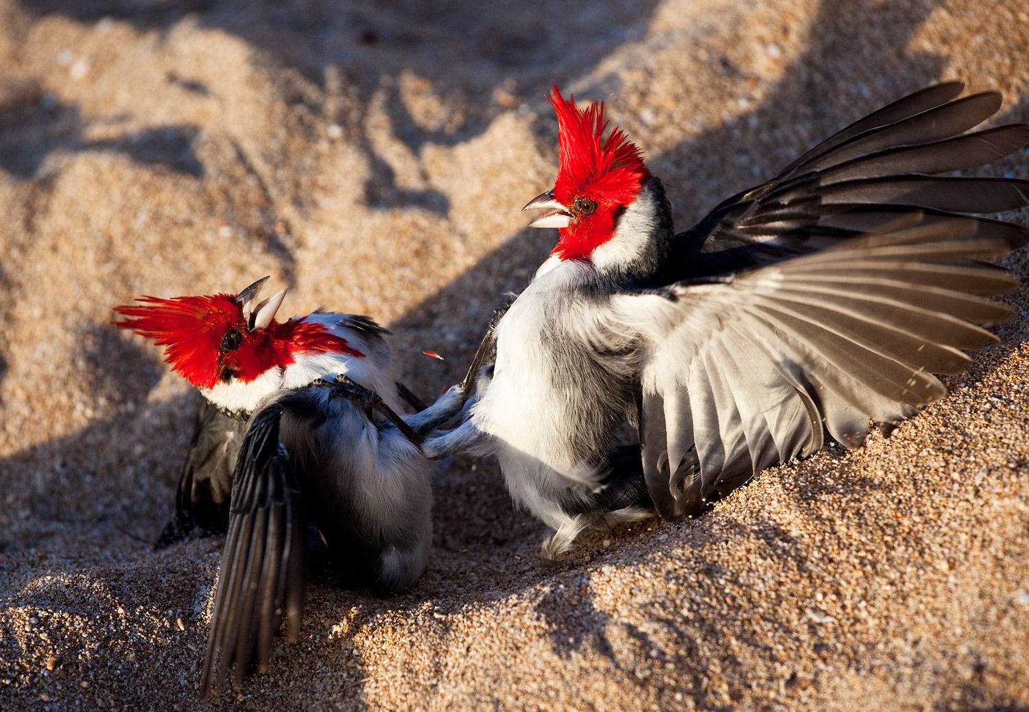 1r120701_haena_212_lb