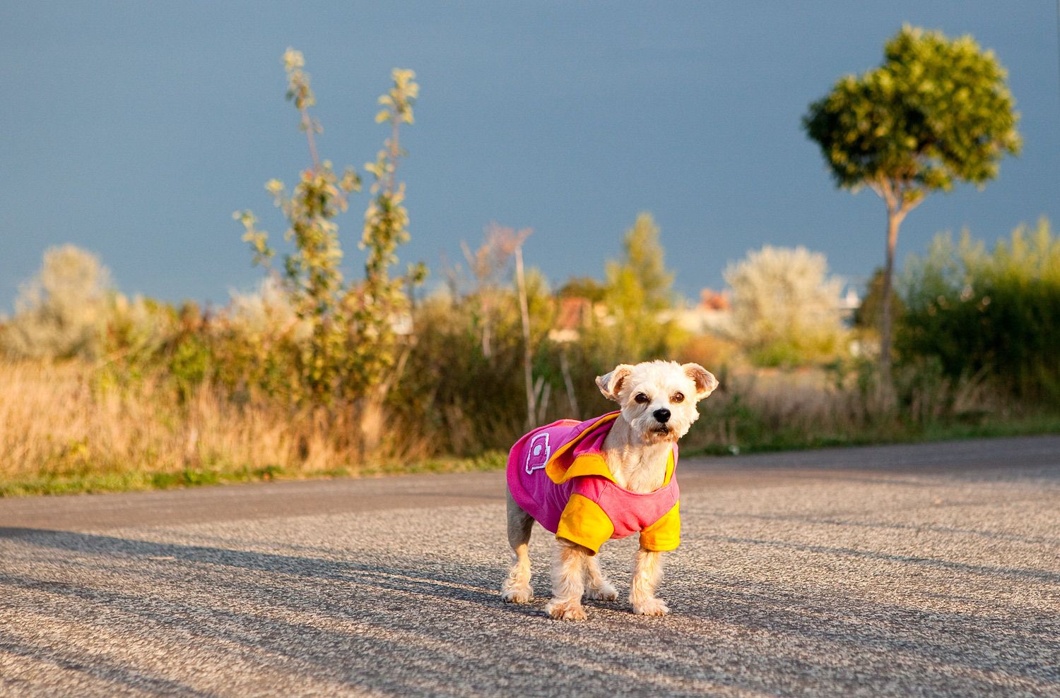 1r120914_vajnory_240_lb