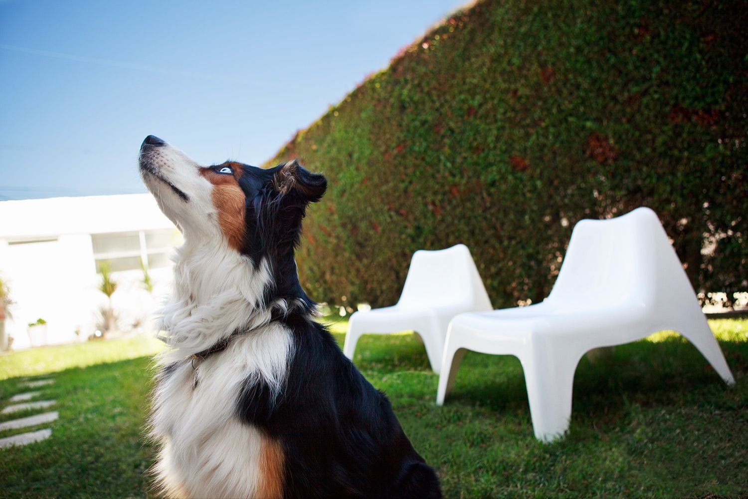 1r110526_timbers_293_lb