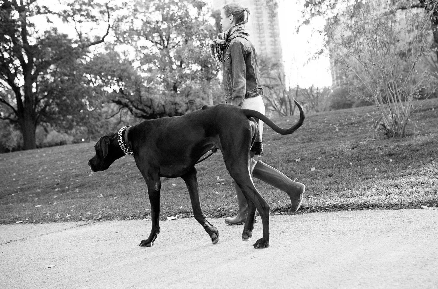 1r121016_chicago_0813_lb2