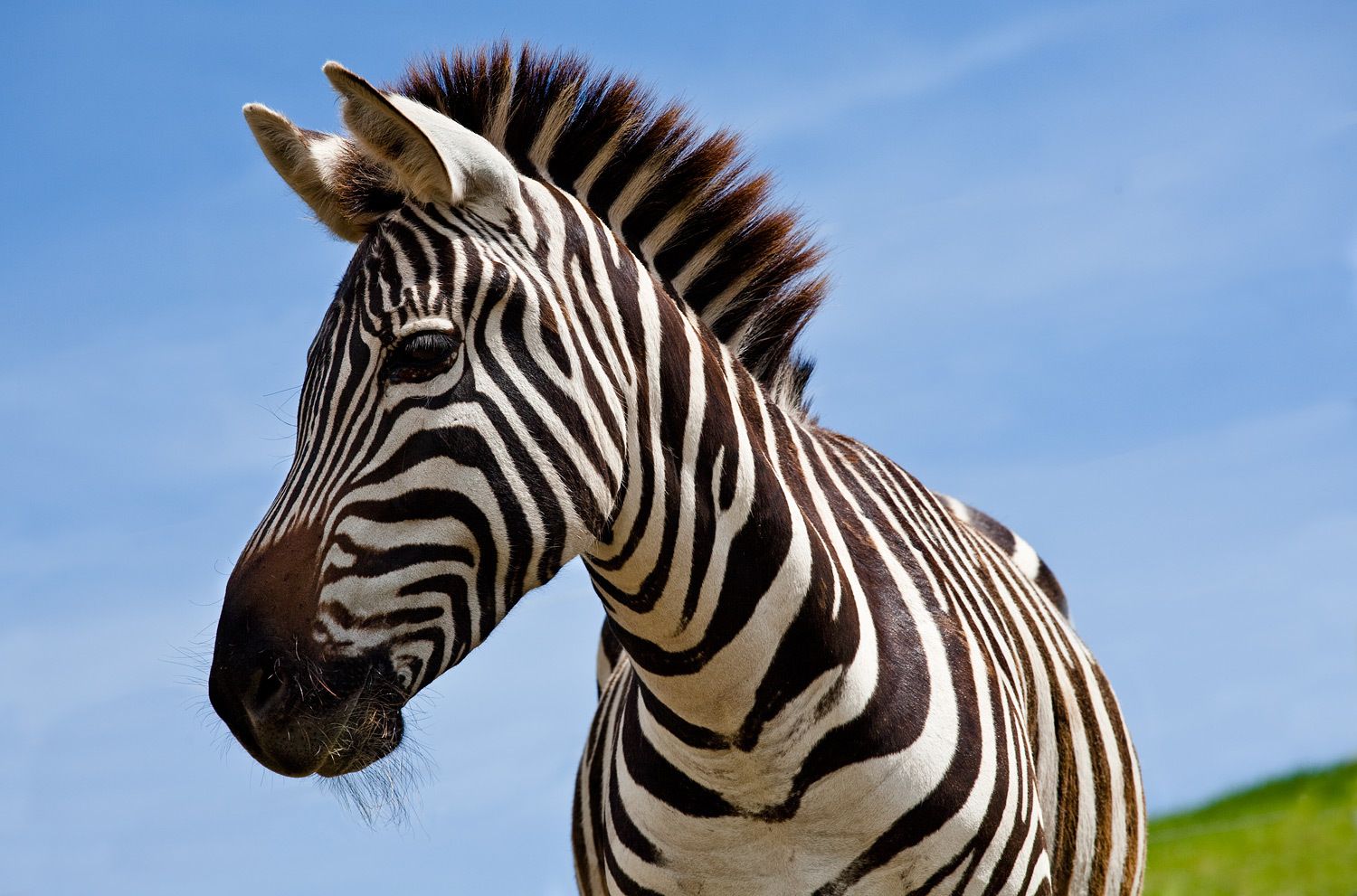 1r130221_gibbsfarm_0131_lb