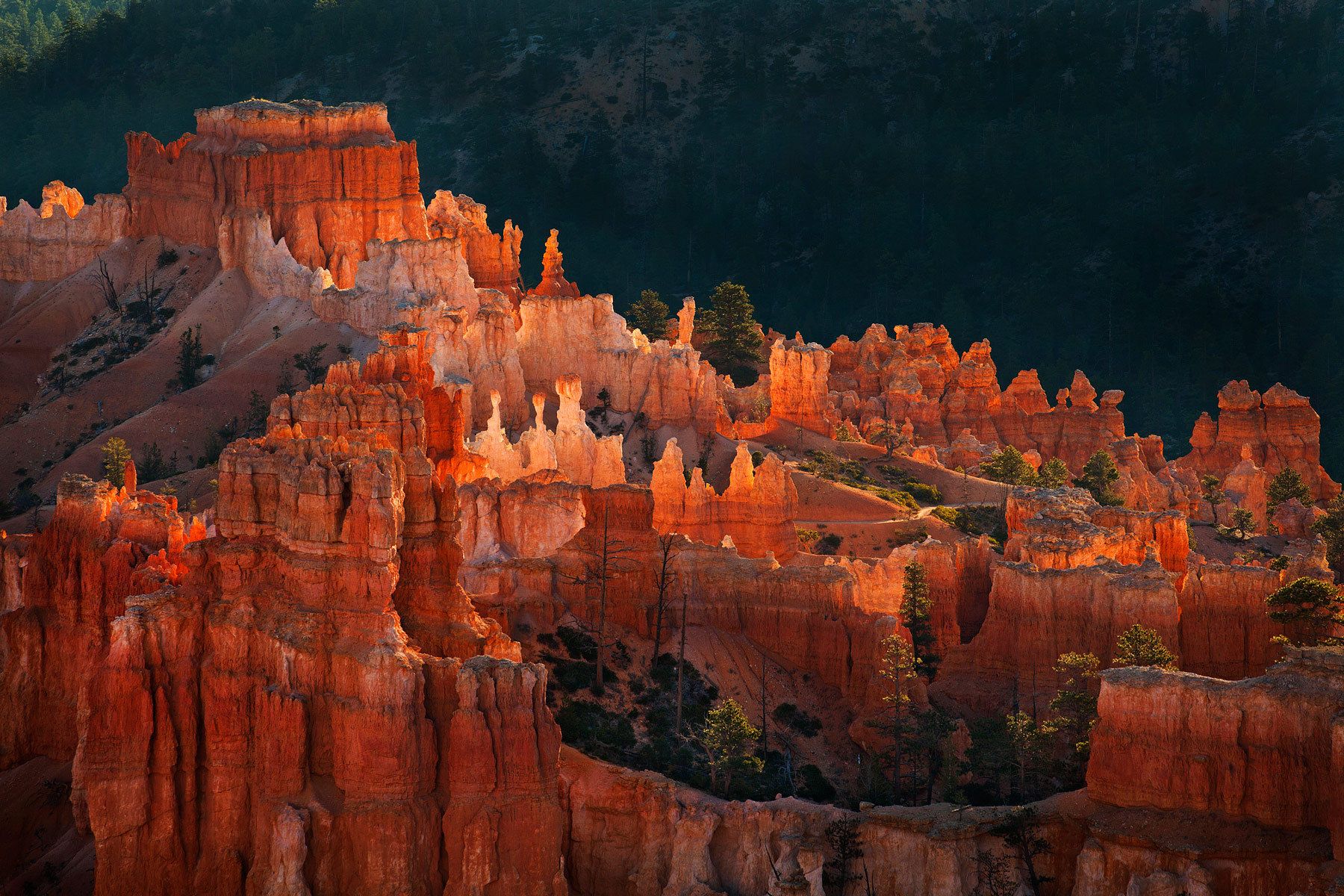 1r20111028_bryce_0741o.jpg