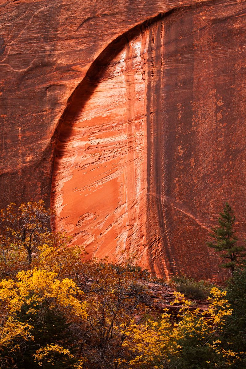 Kolob Canyon Zion National Park Utah