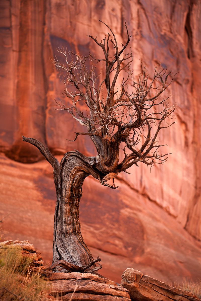 1r20111024_arches_1022o.jpg