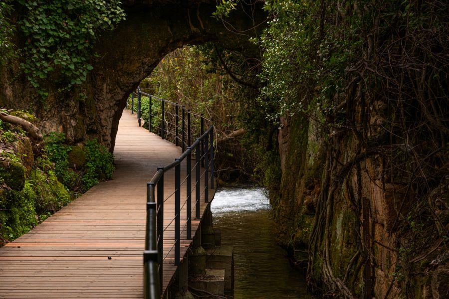 Travel Street and Landscape Colorado Springs Photographer