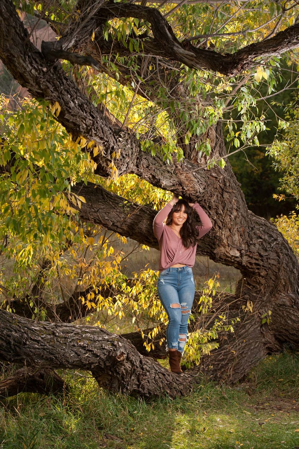 senior pictures colorado springs  monument