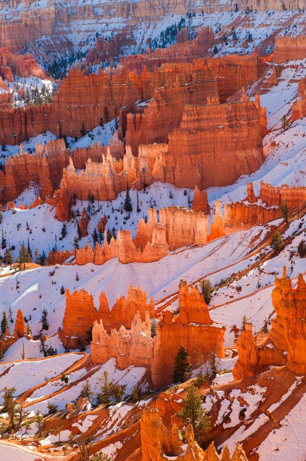 Travel Street and Landscape Colorado Springs Photographer