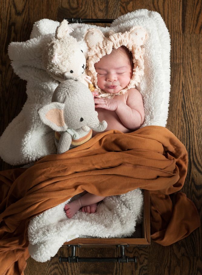 newborn photographer baby portraits colorado springs