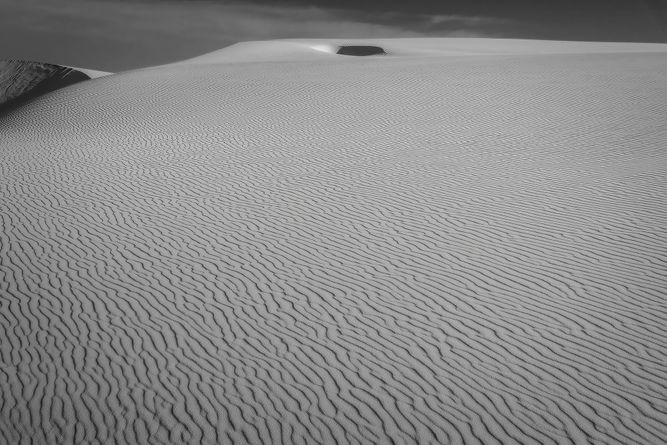 ko_042521_11233 copy 2.jpeg