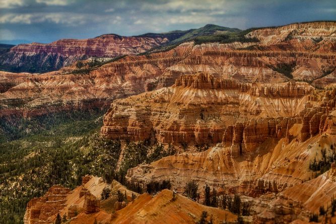 Cedar Breaks National Monument, Utah IMG_2081 copy.jpeg