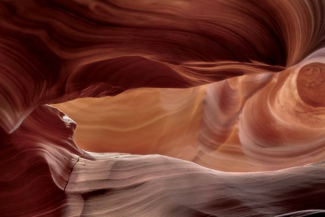 IMG_8130 (1) copy.jpeg