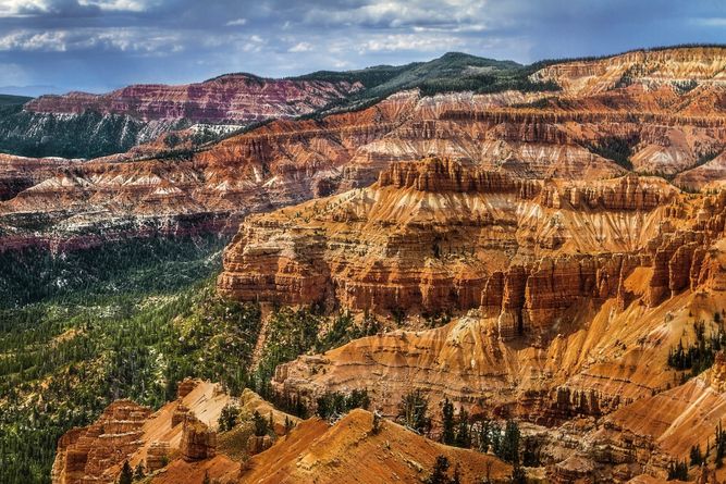 IMG_2081-1 copy.jpeg