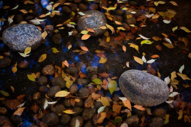 ko_12092023_0963-3 copy.jpeg