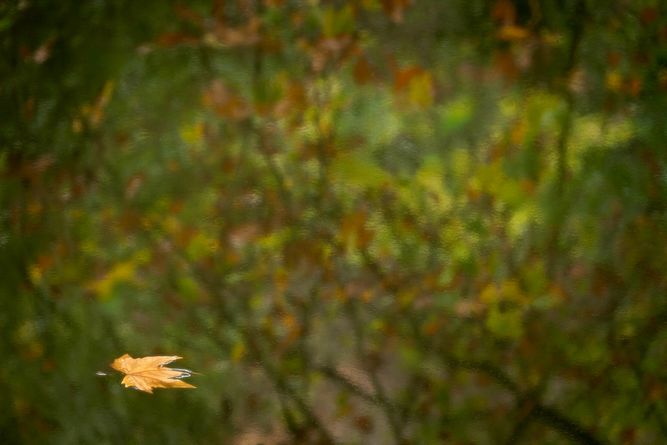 ko_10262025_3518 copy.jpeg