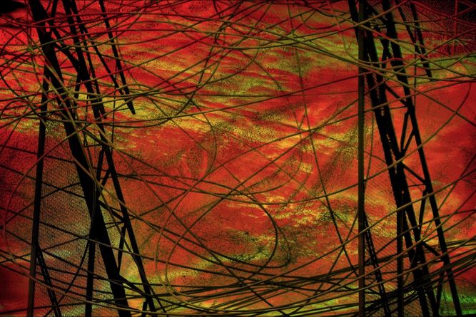 ko_11282024_1854 copy.jpeg