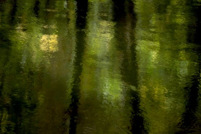 ko_10262025_3516 copy.jpeg