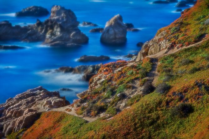 Big Sur, California IMG_6320 copy.jpeg