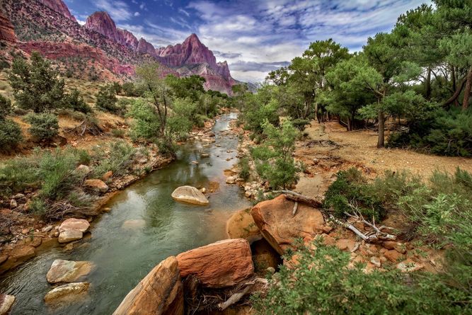 Zion National Park, Utah IMG_1375 copy.jpeg
