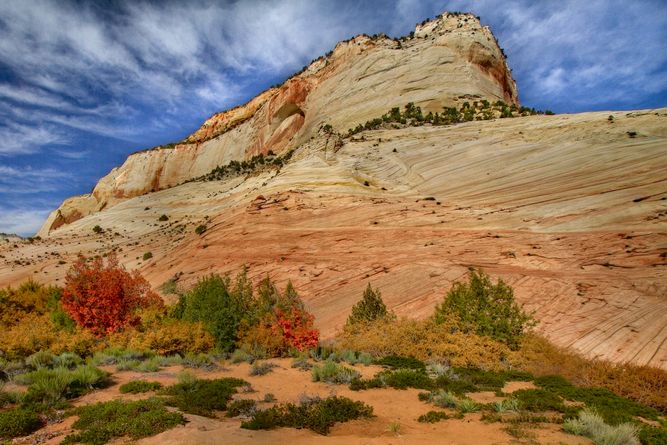 Zion National Park, Utah IMG_8250 (1)-2 copy.jpeg
