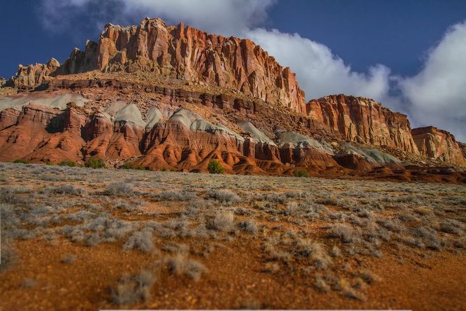 Capitol Reef National Park, Utah IMG_7949 copy.jpeg