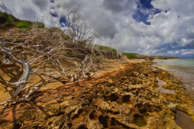 Lanai, Hawaii IMG_4107 copy.jpeg