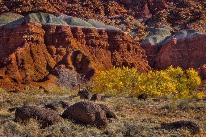 Capital Reef National Park, Utah IMG_7948 copy.jpeg