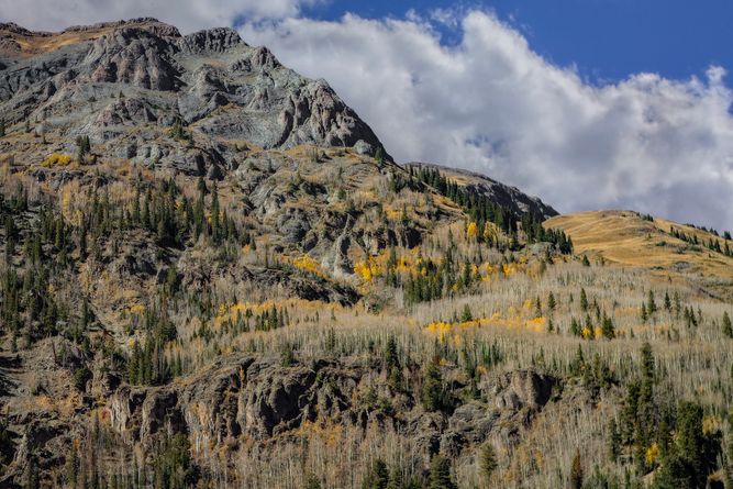 ko_101622_14819.jpeg