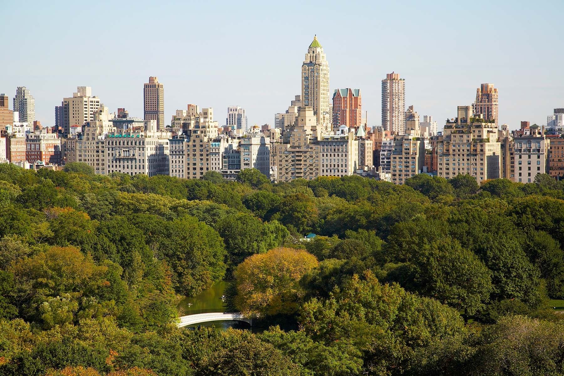 Central Park and Fifth Avenue from 115 Central Park West