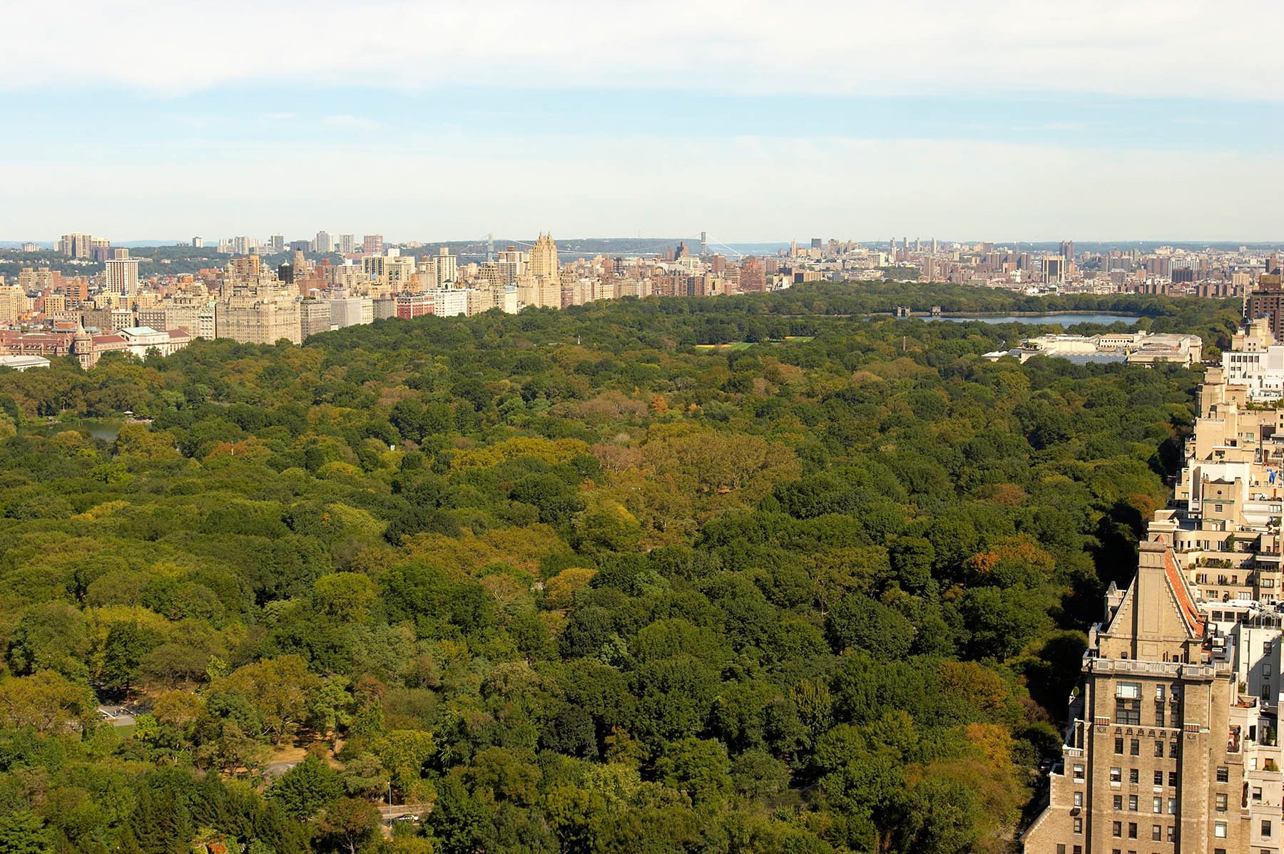 Central Park from 795 Fifth Avenue, 38th floor