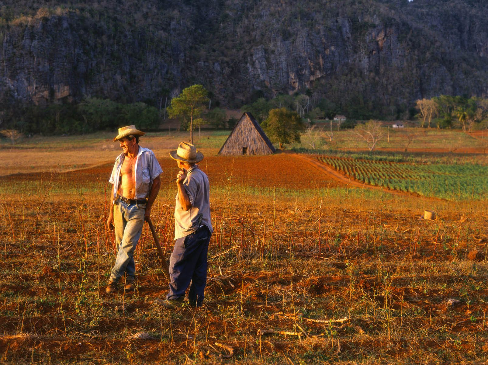 Tobacco Farmers, Vinales, Cuba