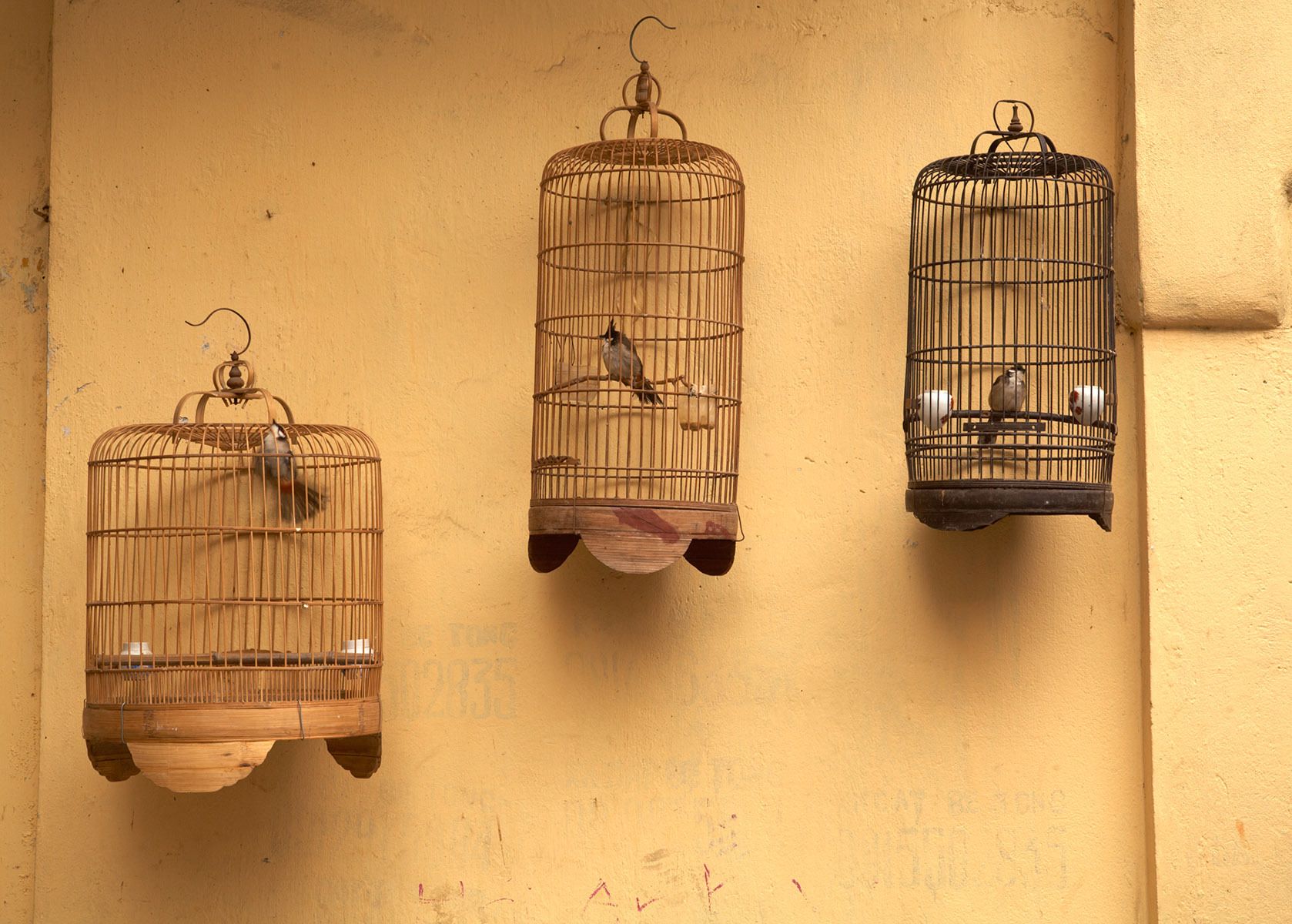 Birdcages in Hanoi