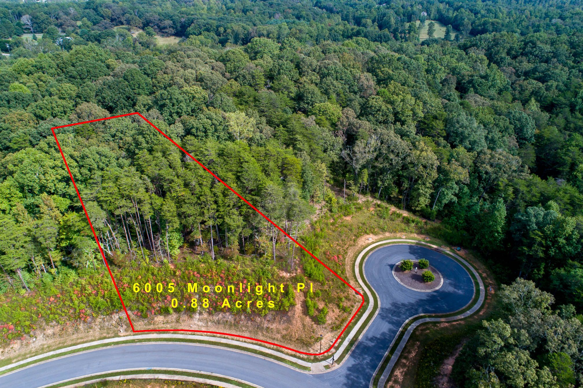 6005 Moonlight Place (3 of 19).jpg