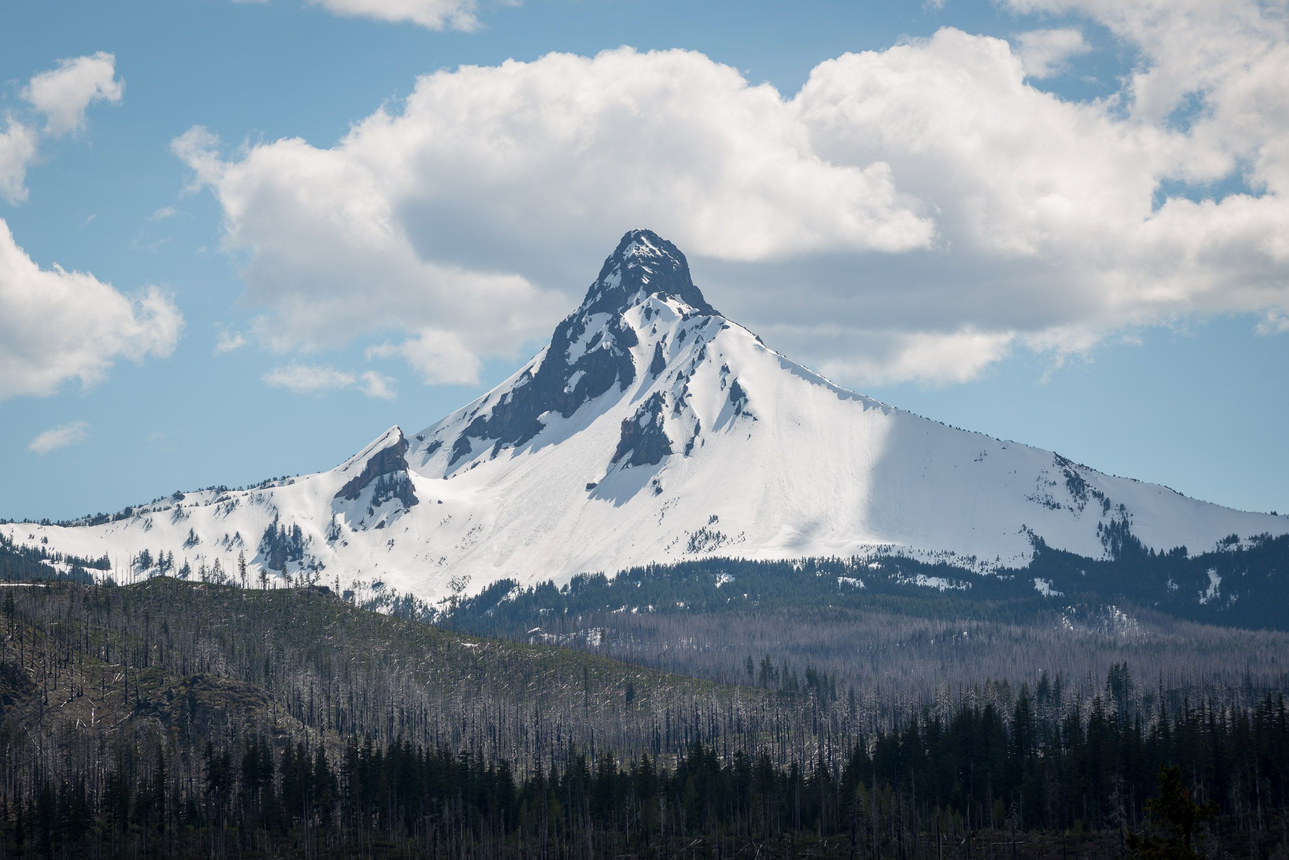 _BBP6364.jpg