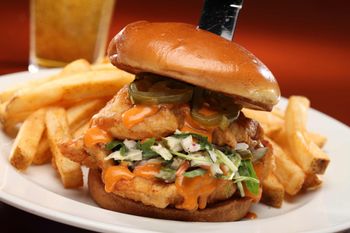 Lunch Food Photography-Fish Sandwich