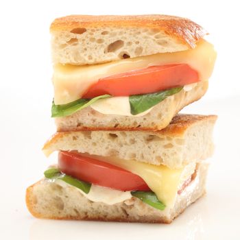 Lunch Food Photography-Caprese  Sandwich