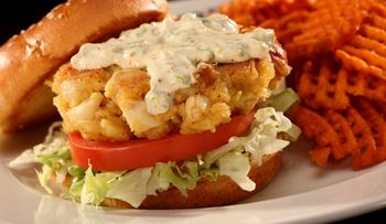 Lunch Food Photography-Crab Cake Sandwich