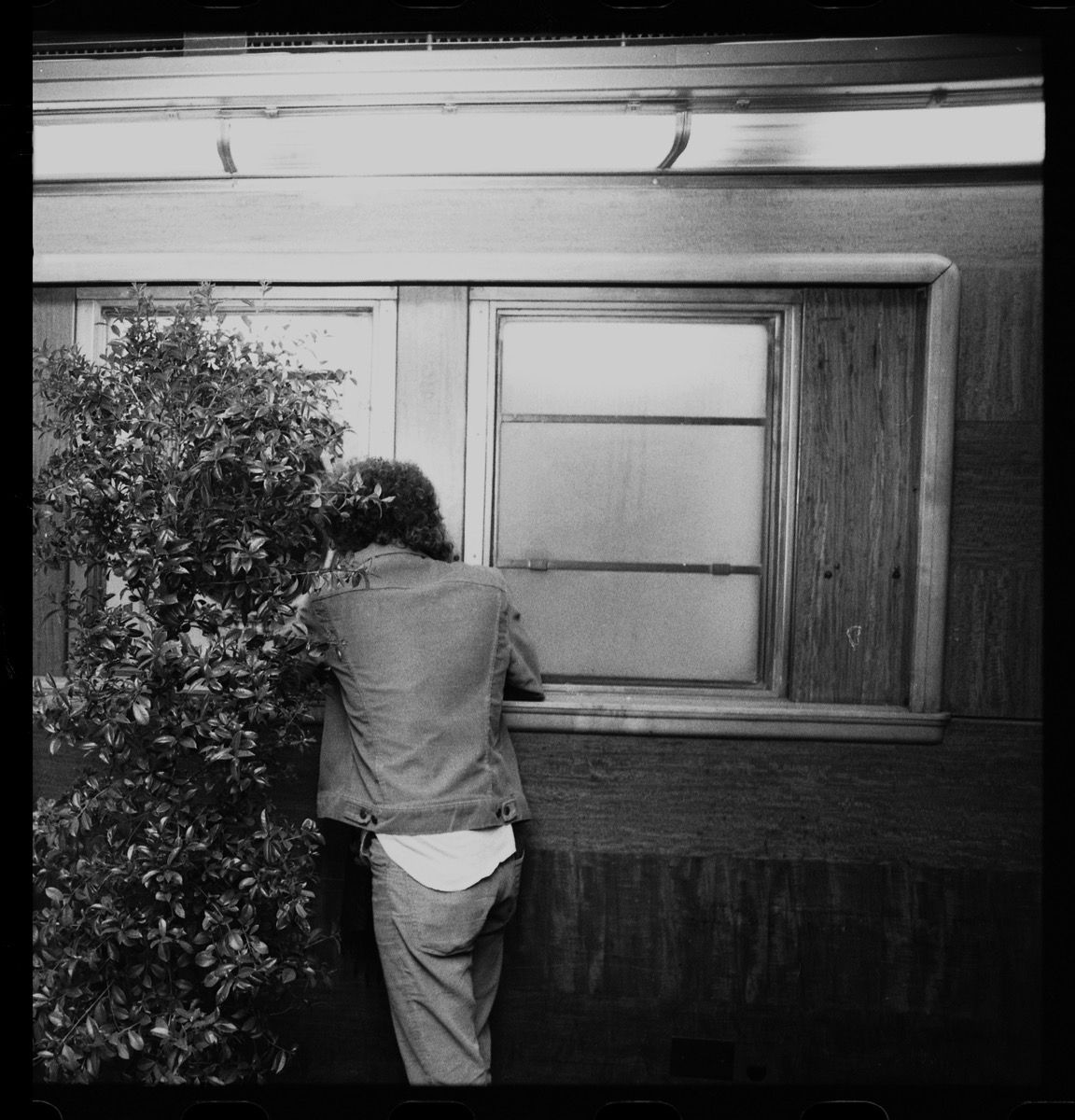 Dylan Hiding at Wings Party, 1975