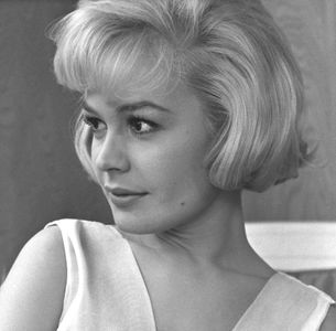 Sandra Dee, 1964
