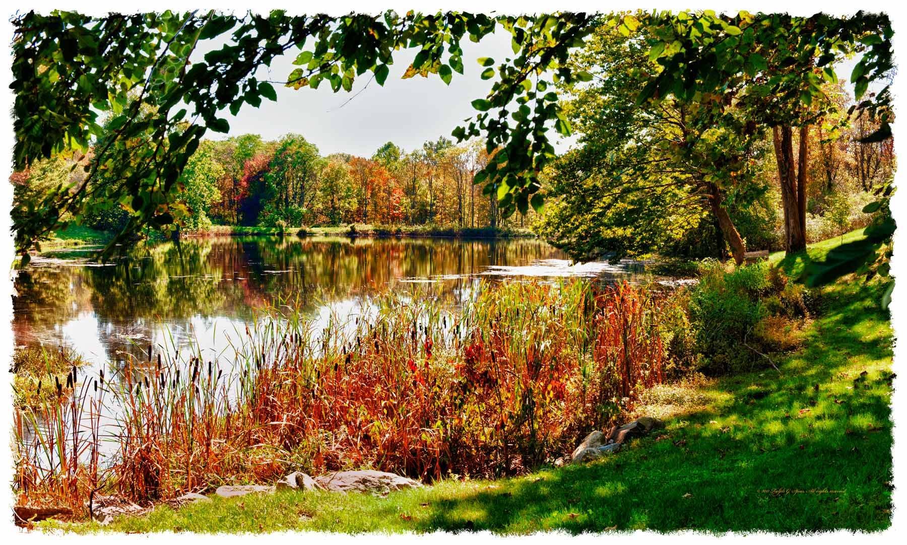 Fall at the Pond