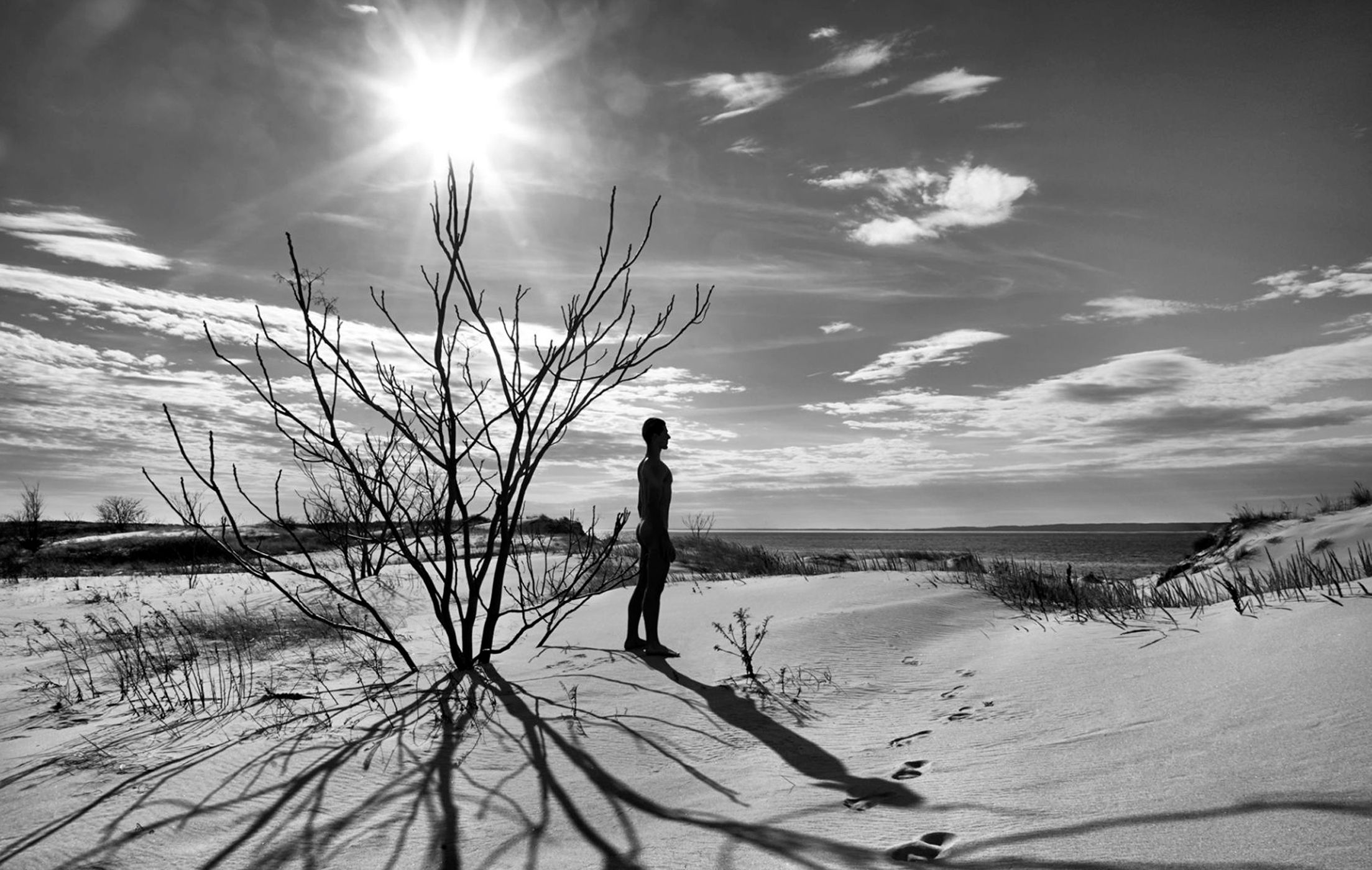 Screen Shot 2019-05-14 at 8.46.24 AM copy.jpg