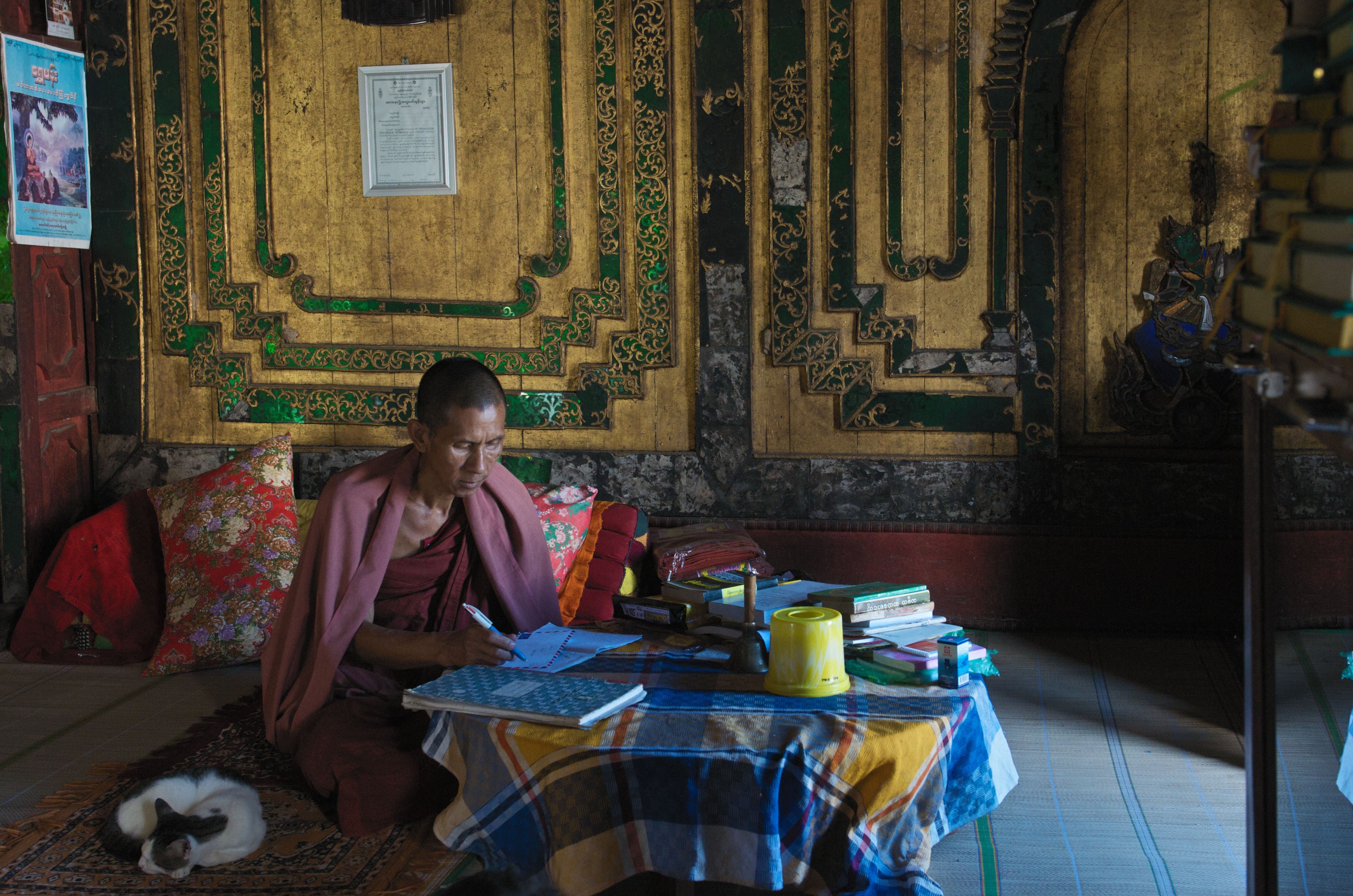 _PSH2303 Inle-Head Monk with His Cat.jpg