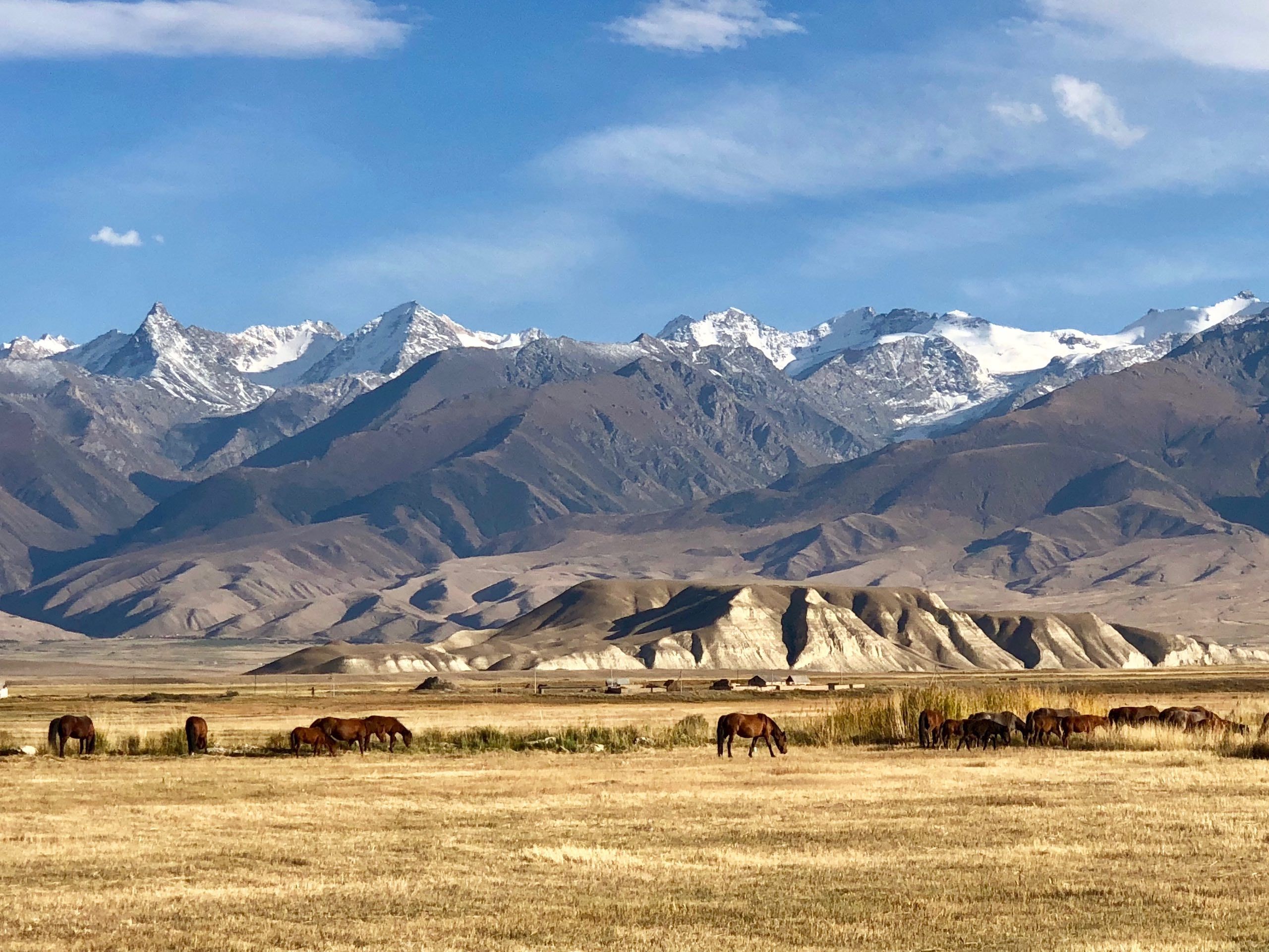 IMG_1836kyrgyzcopy2.jpg